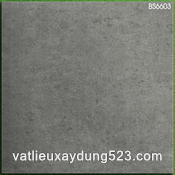 Gạch lát nền Viglacera 60x60 BS 6603