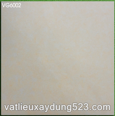 Gạch lát nền Viglacera 60x60  VG 6002