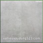 Gạch lát nền Viglacera 60x60  VHP 6602