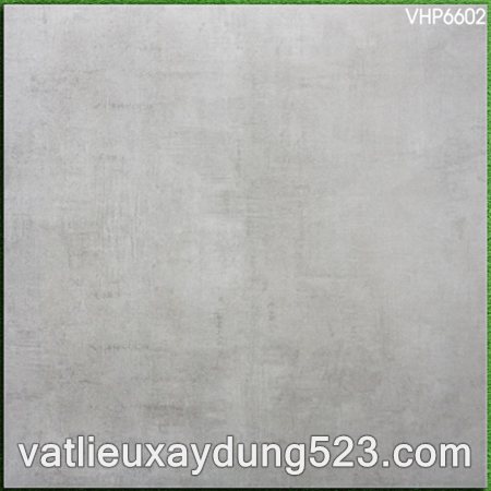 Gạch lát nền Viglacera 60x60  VHP 6602