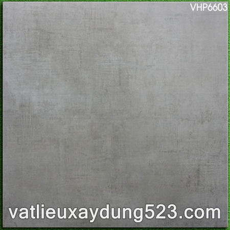 Gạch lát nền Viglacera 60x60  VHP 6603 