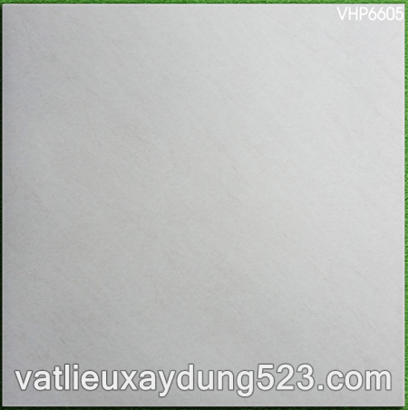 Gạch lát nền Viglacera 60x60  VHP  6605