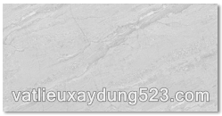 Gạch ốp tường Đồng Tâm  40 x 80 REGAL 015 - H+