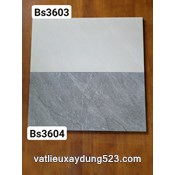 Gạch ốp tường Viglacera  30 x 60  BS 3603 - 3604