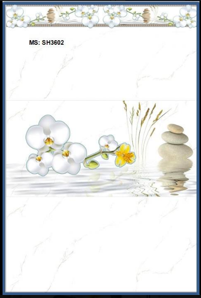  Gạch ốp tường giá rẻ 30 x 60  SH 36002