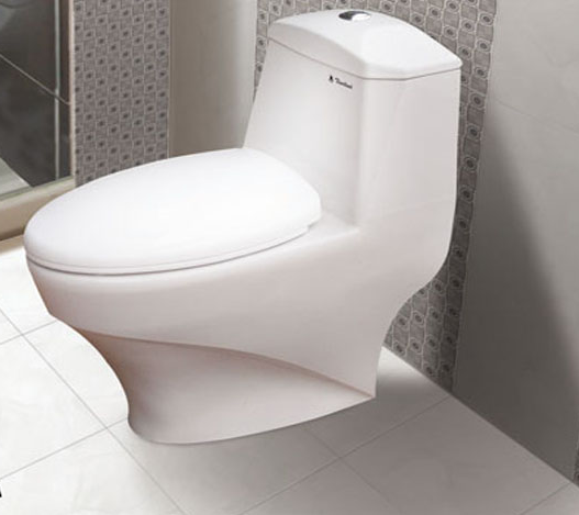 Bàn cầu 1 khối Thiên Thanh Planet  K3830HS2T