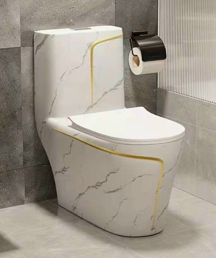 Bàn cầu  1 khối  trắng  viền chỉ vàng 