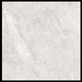 GẠCH ĐỒNG TÂM  6060TRUONGSON 002-FP