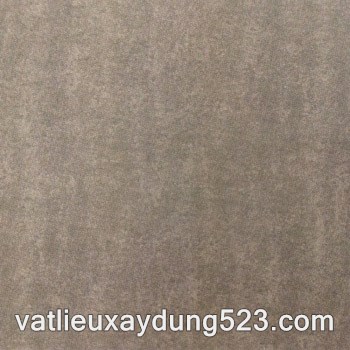 GẠCH ĐỒNG TÂM 6060WS014