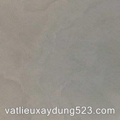 GẠCH ĐỒNG TÂM DTD6060BACHVAN001-FP