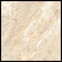 GẠCH LÁT NỀN ĐỒNG TÂM 80 x 80 FANSIPAN 005- FP- H+