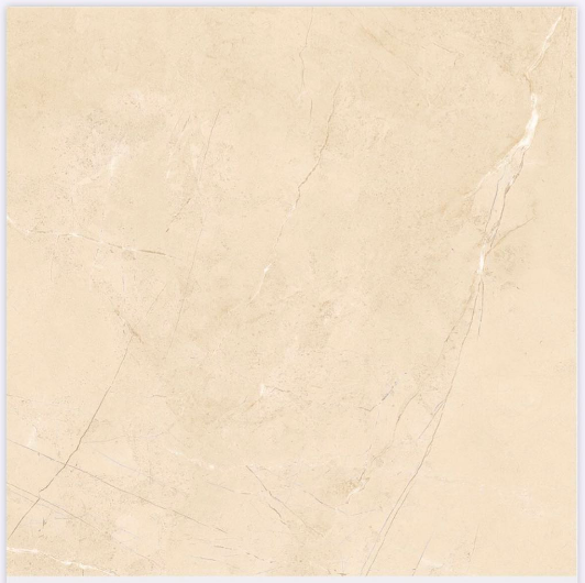 GẠCH NHẬP KHẨU  120 X 120 MÃ 49 TD12007