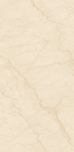 GẠCH ỐP LÁT  60 *120  TASA 1206