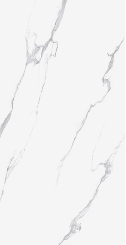 GẠCH ỐP LÁT  60 *120  TASA 1207