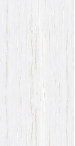 GẠCH ỐP LÁT  60 *120  TASA 1208