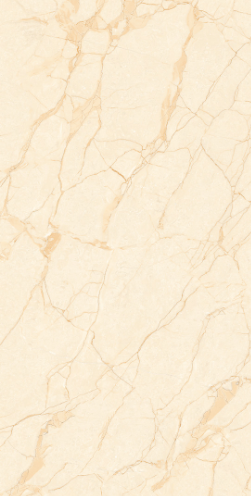 GẠCH ỐP LÁT  60 *120  TASA 1209