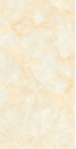 GẠCH ỐP LÁT  60 *120  TASA 1211