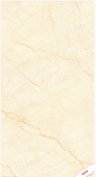 GẠCH ỐP LÁT 60 X 120 ĐỒNG CHẤT 61222