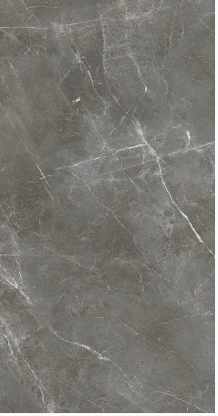 GẠCH ỐP LÁT 90 X 180 ĐỒNG CHẤT DFG189253