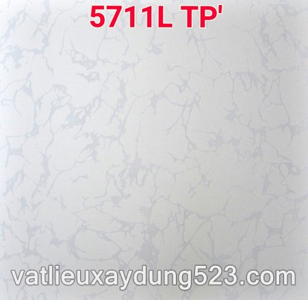 Gạch lát nền giá rẻ 50 x 50