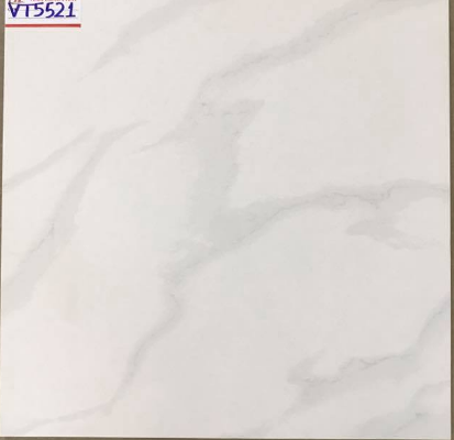 Gạch lát nền giá rẻ  50 x 50  -  VT5521