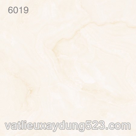 Gạch lát nền giá rẻ 60 x 60 - 6019
