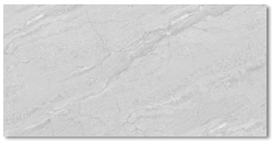 Gạch ốp tường Đồng Tâm  40 x 80 REGAL 015 - H+