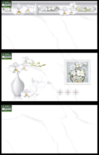 Gạch  ốp tường   TASA  30*60 BD 004