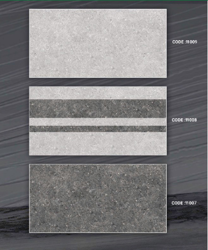 Gạch ốp tường TASA 30*60 BD 11009