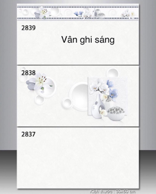 Gạch ốp tường TASA  30*60 BD 2839