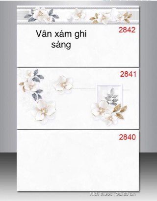 Gạch ốp tường TASA  30*60 BD 2842