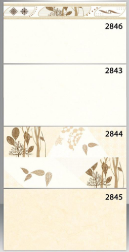Gạch  ốp tường   TASA  30*60 BD 2846