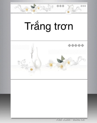 Gạch ốp tường TASA 30*60 BD 3983