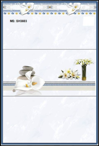 Gạch ốp tường giá rẻ 30 x 60  SH 36003