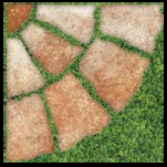 Gạch sân vườn  Đồng Tâm  4040 GREENERY 003