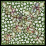 Gạch sân vườn  Đồng Tâm  4040 GREENERY 004