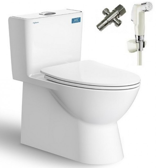 Bàn cầu 1 khối Viglacera V808