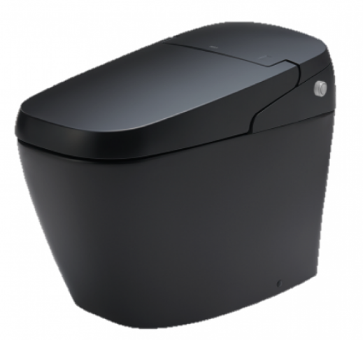 BÀN CẦU ĐIỆN TỬ INAX  AC-G216VN/BKG