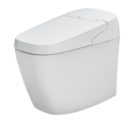 BÀN CẦU ĐIỆN TỬ INAX  AC-G216VN/BW