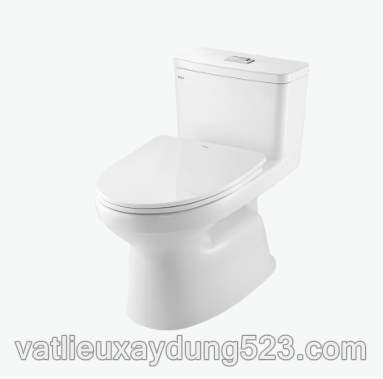 BÀN CẦU MỘT KHỐI INAX AC-969VN - 2