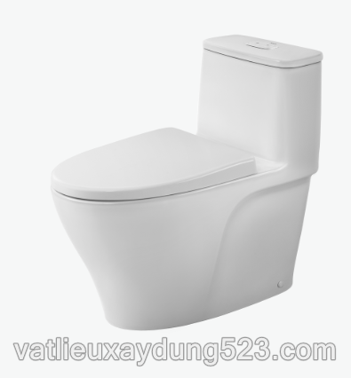 BÀN CẦU MỘT KHỐI INAX AC-989VN