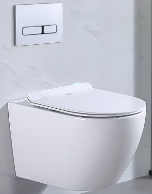 Bàn cầu treo tường màu trắng