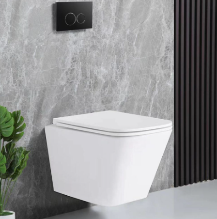 Bàn cầu treo tường màu trắng