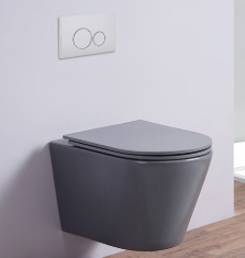 Bàn cầu treo tường màu xám