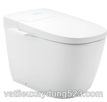 Bồn Cầu Thông Minh INAX AC-816VN (AC816VN)