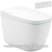 Bồn Cầu Thông Minh INAX AC-819VN  (AC819VN)