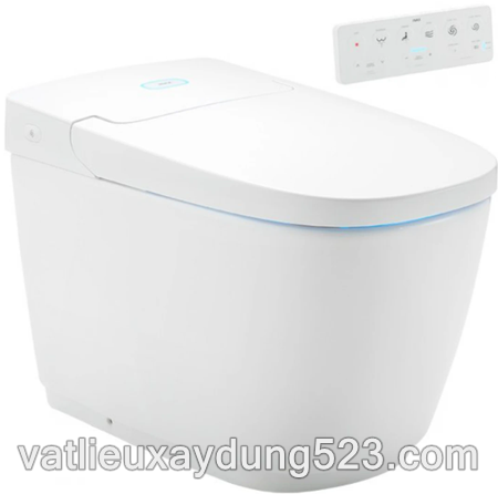 Bồn Cầu Thông Minh INAX AC-819VN (AC819VN)