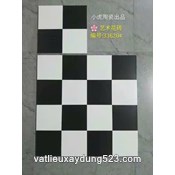 GẠCH BÔNG LÁT NỀN  33620
