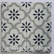 GẠCH BÔNG LÁT NỀN F20140