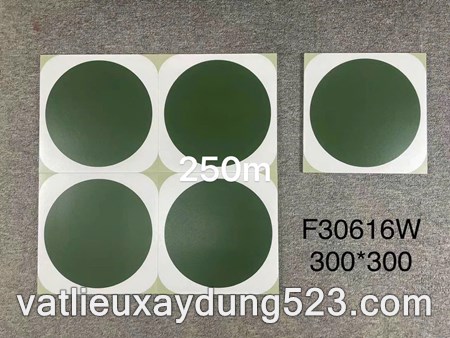 GẠCH BÔNG  LÁT NỀN  F30616 W